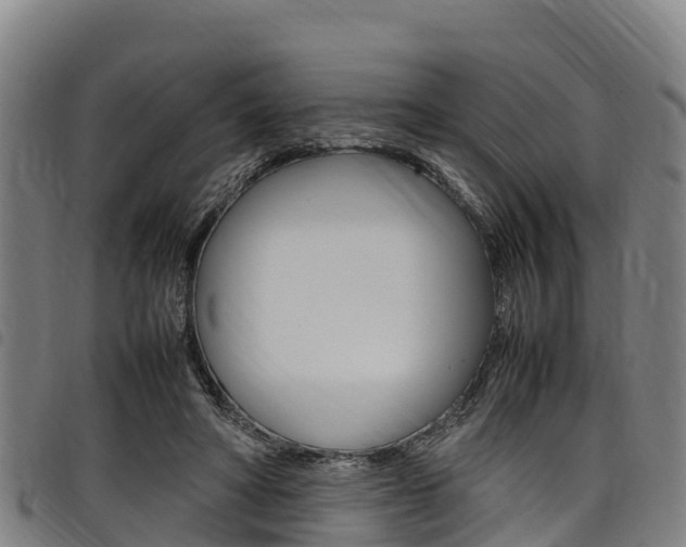 X0000098120402200804040828