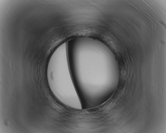 X0000098120403200804040828