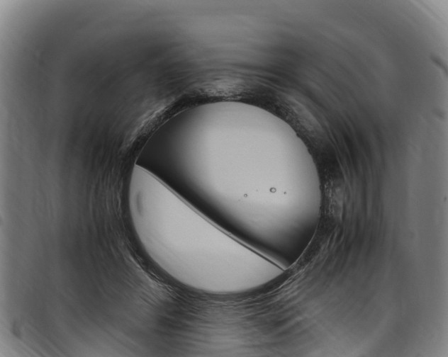 X0000098120404200804040828