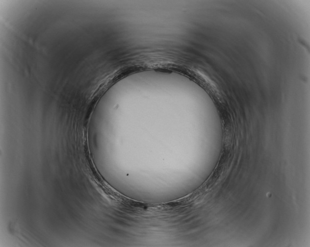X0000098120405200804040828