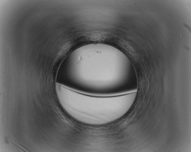 X0000098120407200804040828