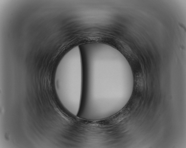 X0000098120408200804040828
