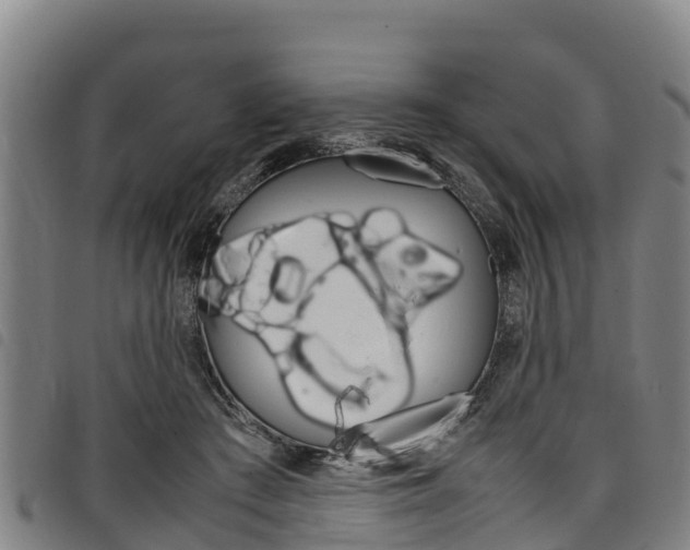 X0000098120409200804040828
