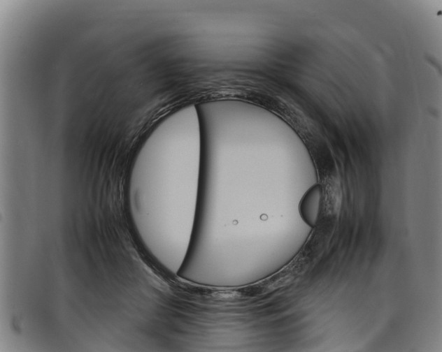 X0000098120410200804040828