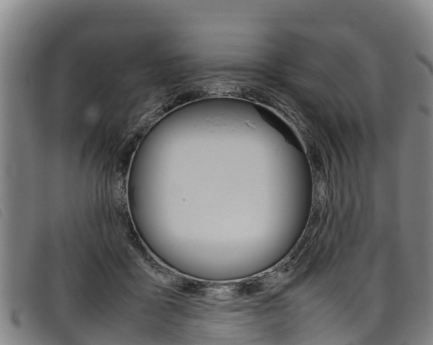 X0000098120411200804040828