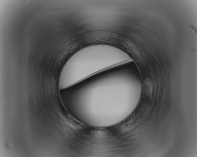 X0000098120412200804040828