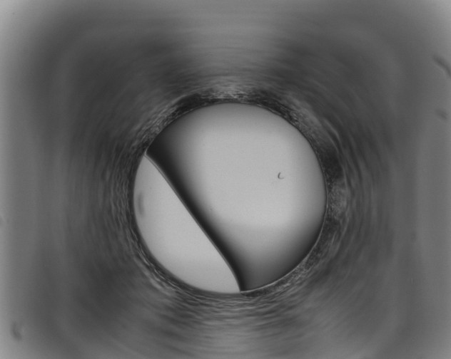 X0000098120413200804040828