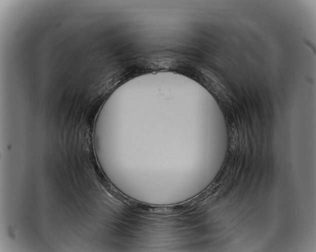 X0000098120414200804040828
