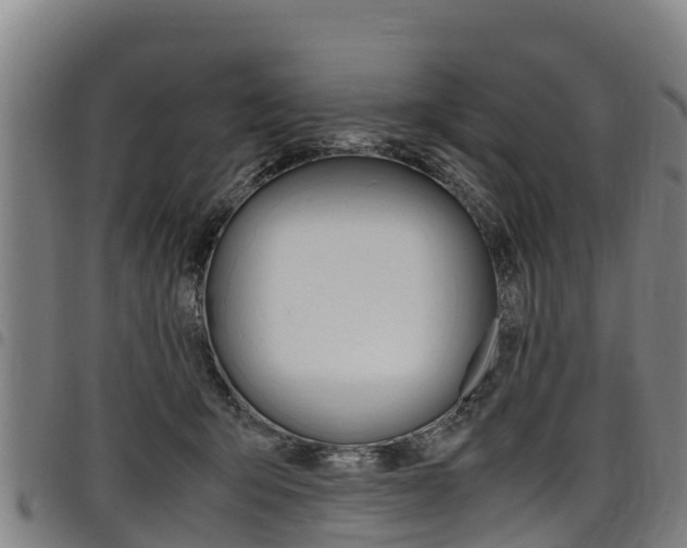 X0000098120415200804040828