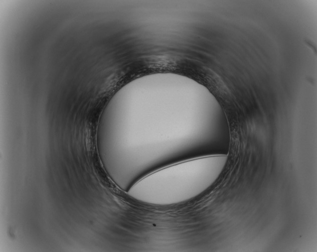 X0000098120416200804040828
