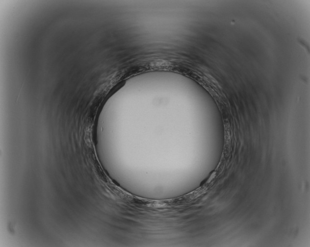 X0000098120419200804040828