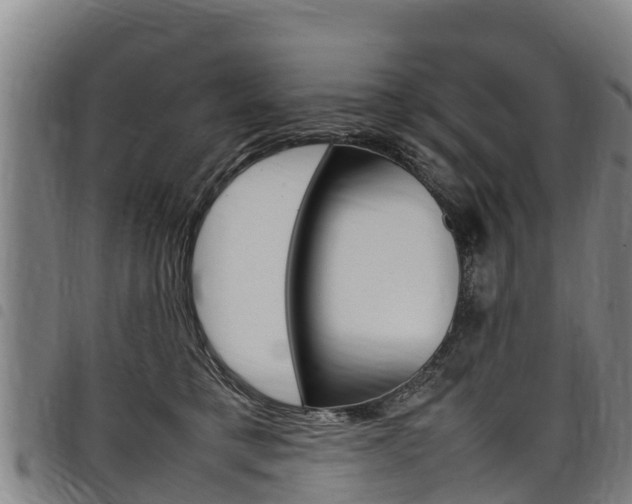 X0000098120421200804040828
