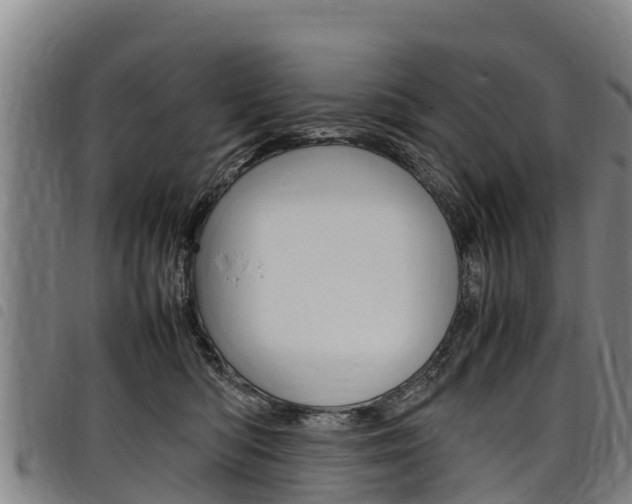 X0000098120422200804040828