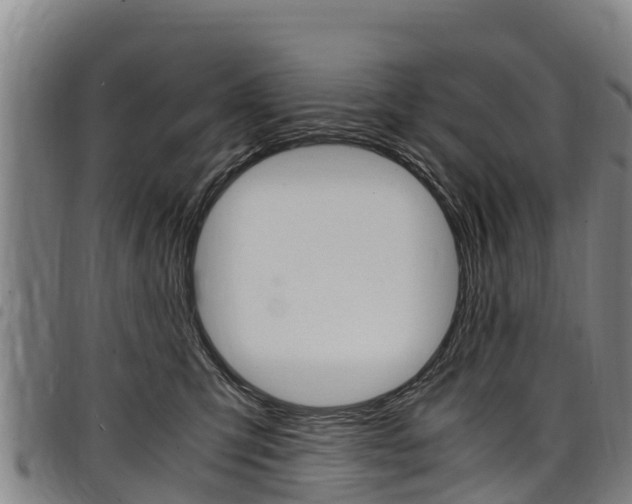 X0000098120423200804040828