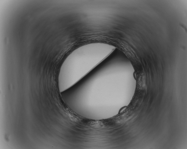 X0000098120424200804040828