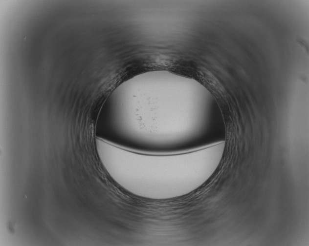 X0000098120425200804040828