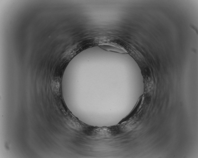 X0000098120427200804040828