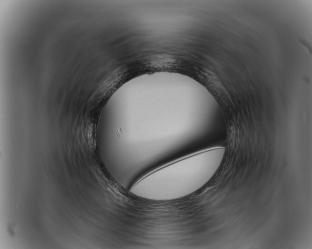 X0000098120428200804040828