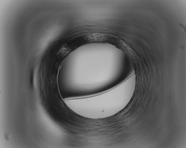 X0000098120429200804040828