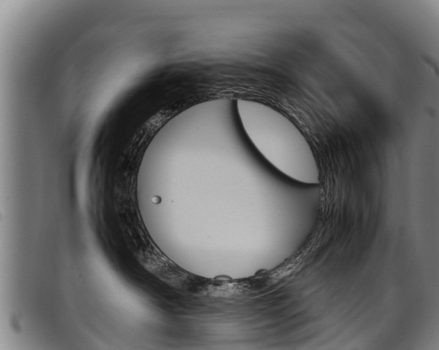 X0000098120430200804040828