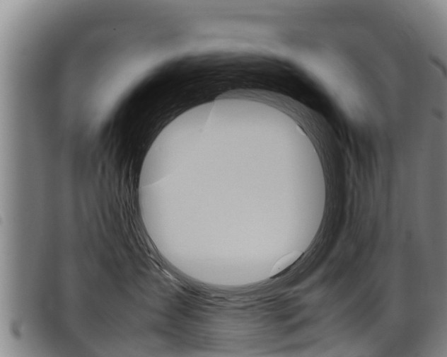 X0000098120431200804040828