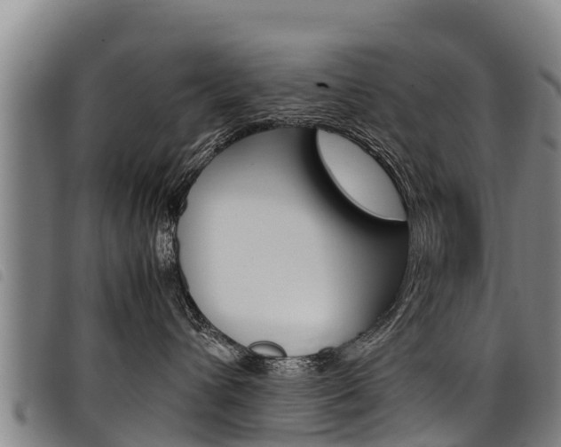 X0000098120432200804040828