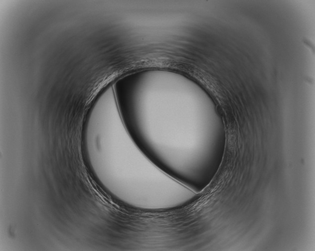 X0000098120434200804040827
