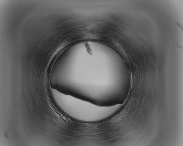 X0000098120435200804040827