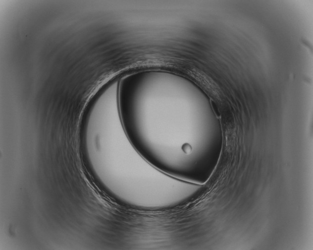 X0000098120436200804040827