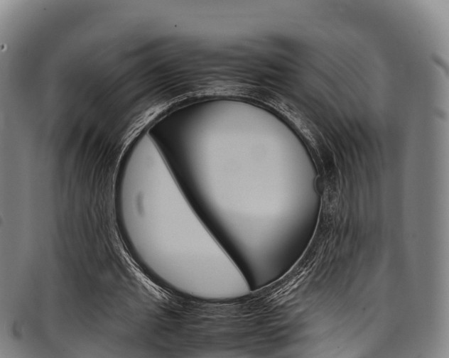 X0000098120437200804040827