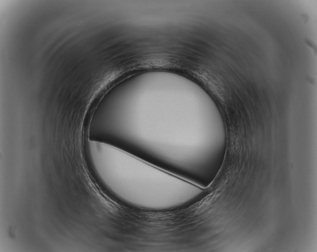 X0000098120439200804040827