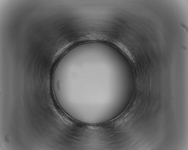 X0000098120442200804040827