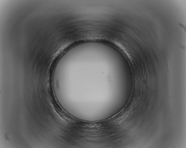 X0000098120443200804040827