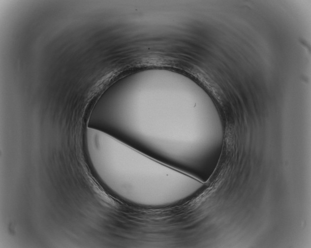 X0000098120445200804040827