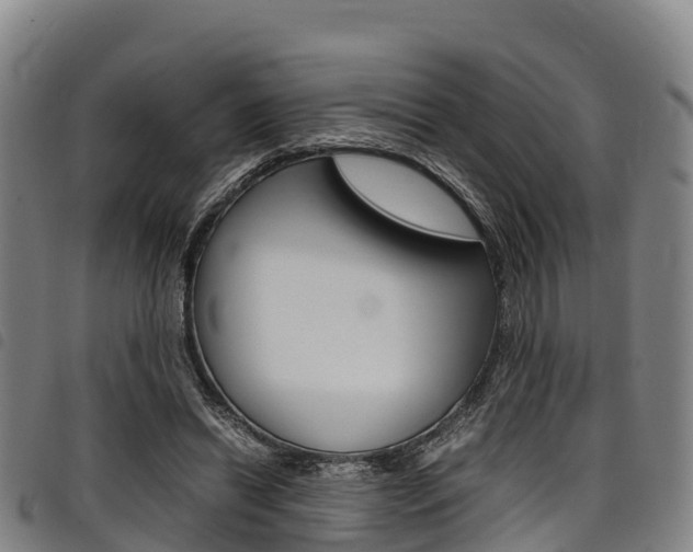 X0000098120446200804040827