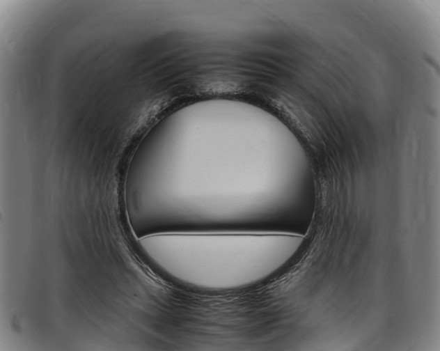 X0000098120447200804040827