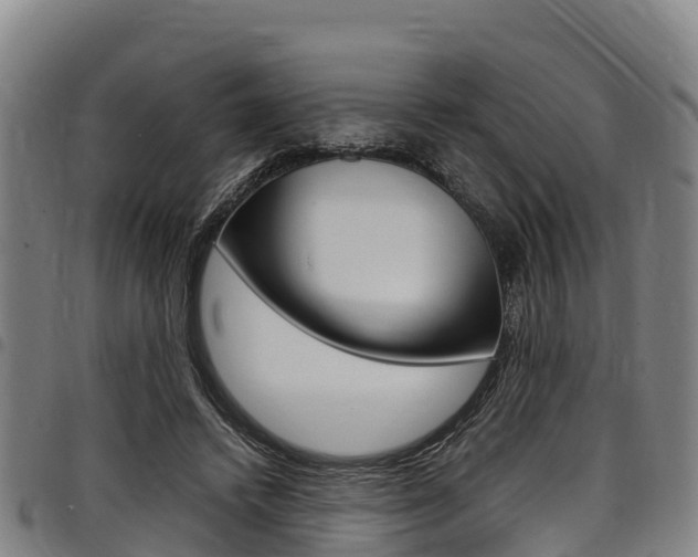 X0000098120448200804040827