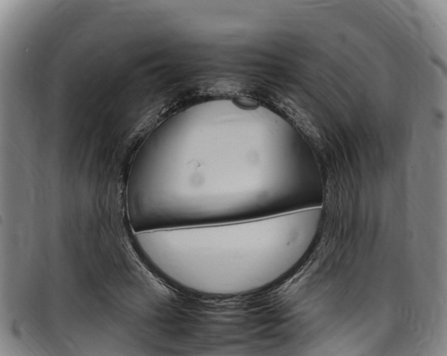 X0000098120449200804040827