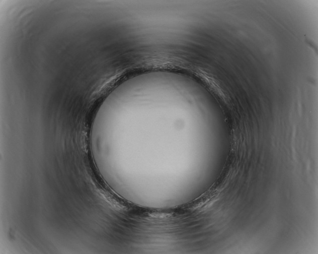 X0000098120450200804040827
