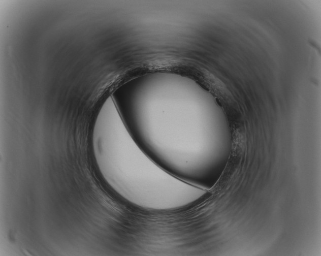 X0000098120452200804040827