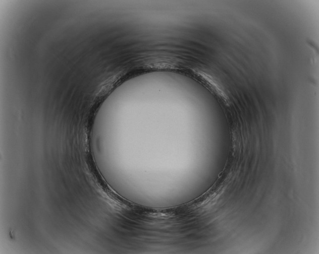 X0000098120453200804040827