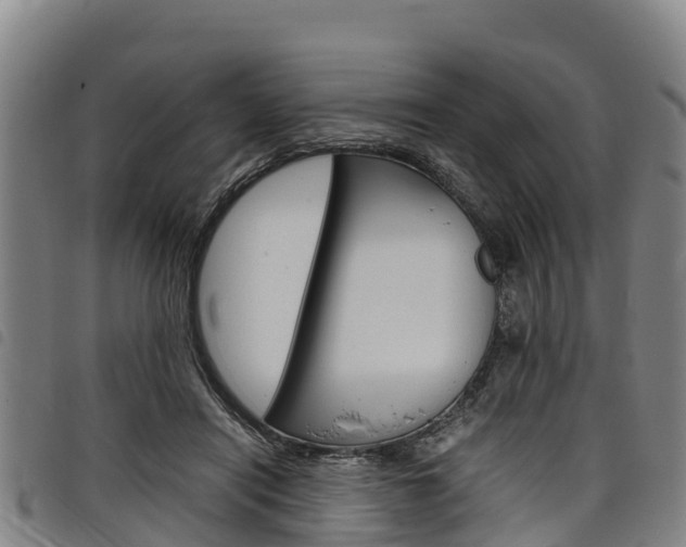 X0000098120454200804040827