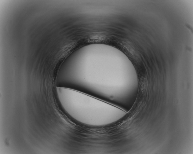 X0000098120455200804040827