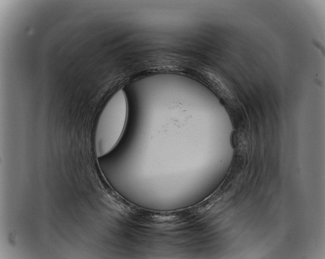X0000098120457200804040827