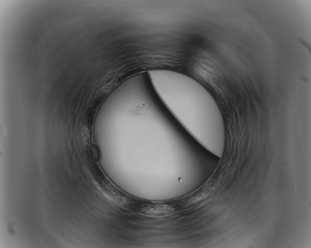 X0000098120459200804040827