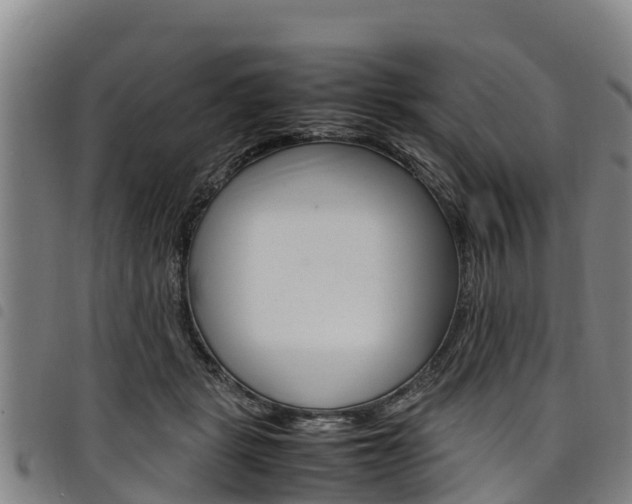X0000098120461200804040827