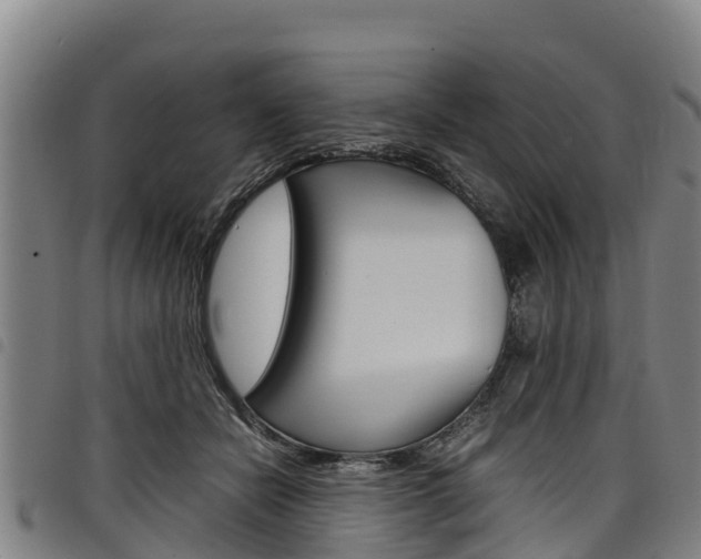 X0000098120462200804040827