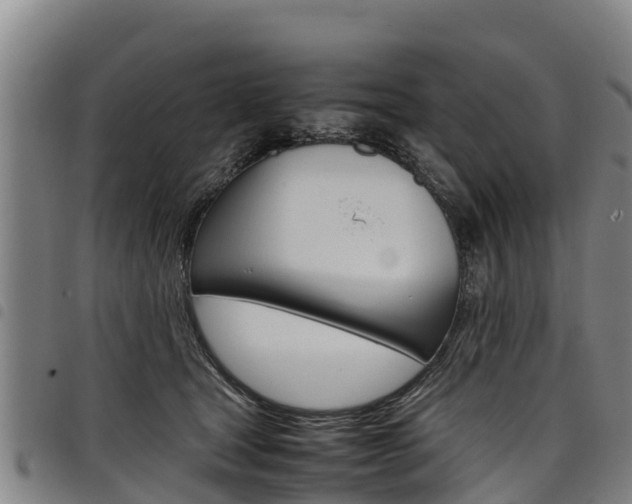 X0000098120465200804040828