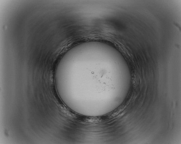 X0000098120466200804040828