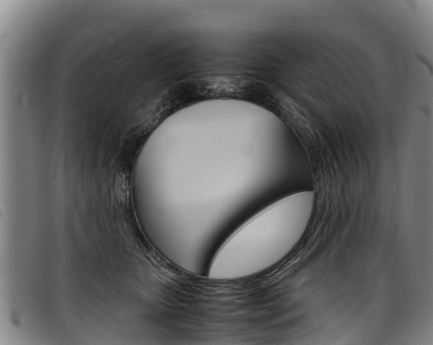 X0000098120467200804040828